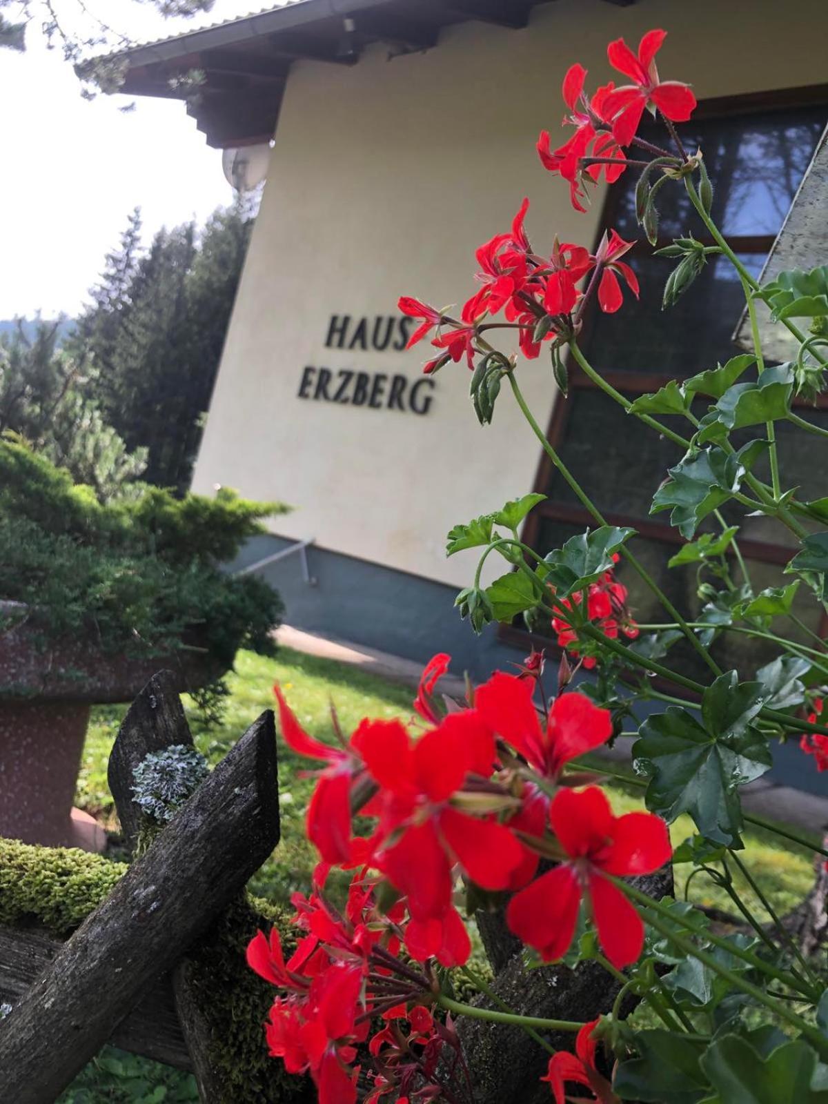 Haus-Erzberg Bed and Breakfast Vordernberg Exteriör bild